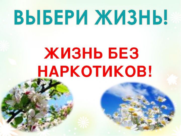 На территории Рыбно-Слободского района будут организованы проведение антинаркотических профилактических мероприятий