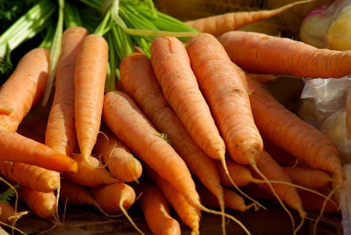 Как посадить морковь, чтобы не пришлось прореживать