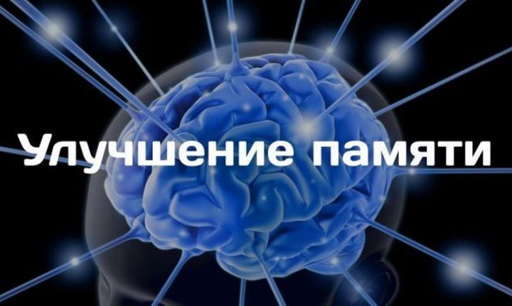 Пять простых способов улучшить память и работу мозга