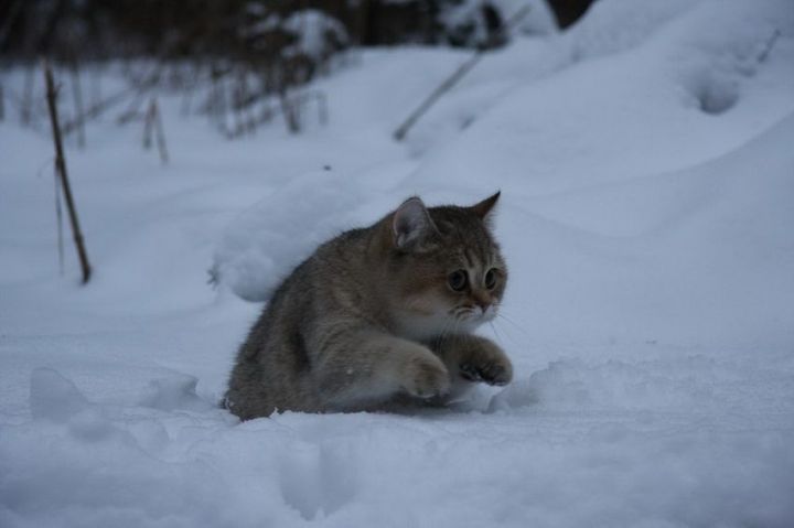 Погода в Рыбной Слободе на 1 февраля