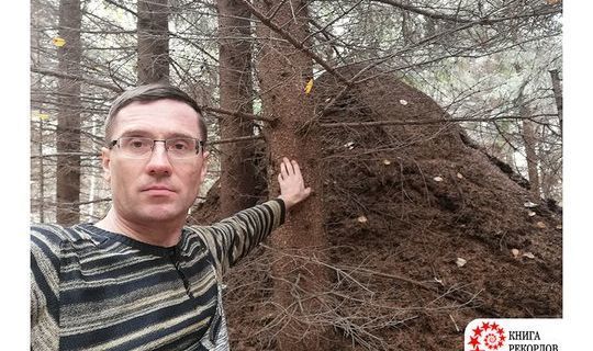Самый крупный муравейник в России нашли в Татарстане