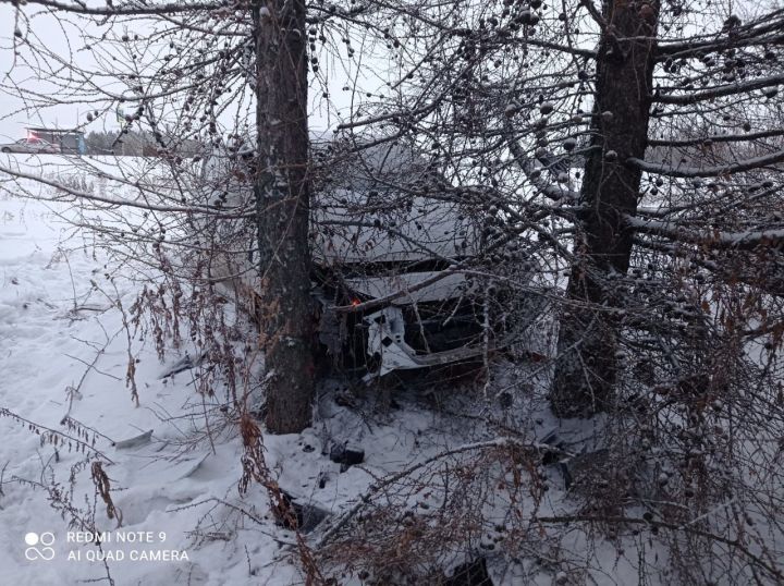 В Рыбно-Слободском районе автомобиль врезался в дерево