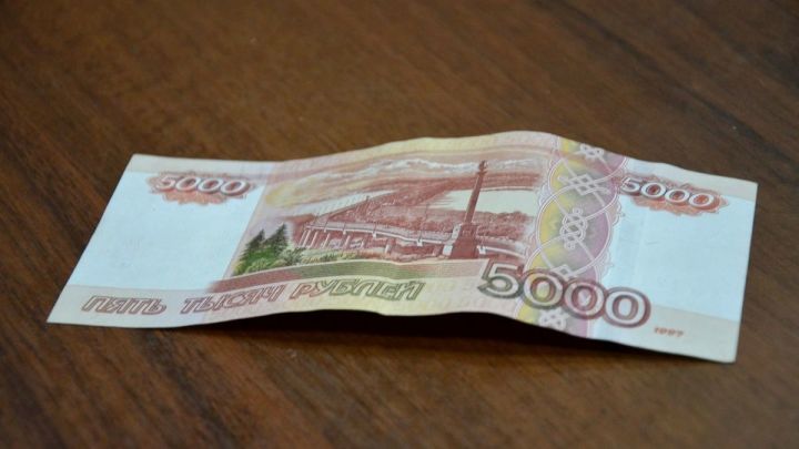 В Татарстане начали выдавать «путинские» выплаты на детей к Новому году