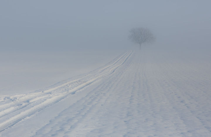 На территории Республики Татарстан   местами ожидается сильный туман.