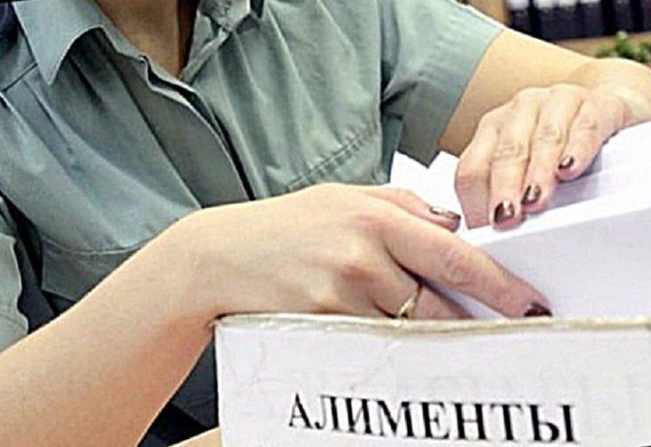 Прокуратура Рыбно-Слободского района поддержала государственное обвинение в отношении лица, уклонившиеся от уплаты алиментов.