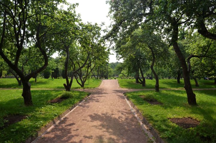 Свежий воздух в парках России станет платным