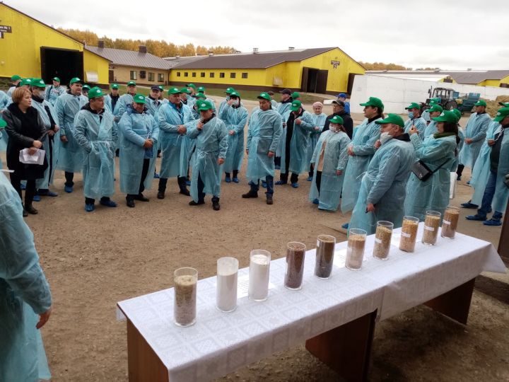 В Рыбно-Слободском районе на базе хозяйства "Кулон-Агро" прошёл семинар для животноводов