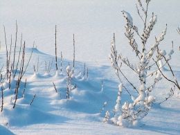 Погода на 24 декабря в Рыбной Слободе