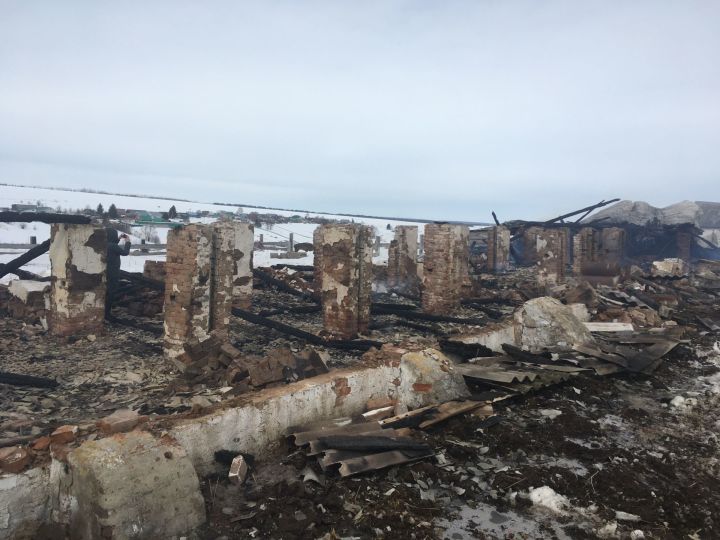 В Рыбно-Слободском районе сгорела ферма