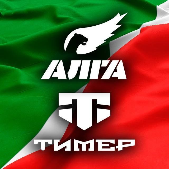 Татарстанцы могут поддержать финансово батальоны «Алга» и «Тимер»