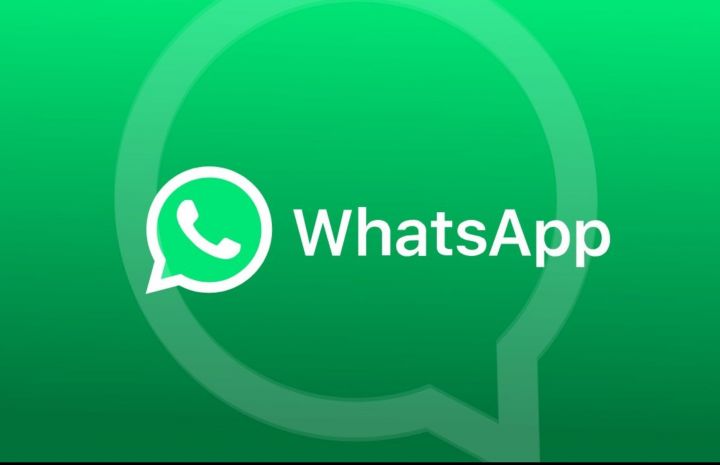 Российским педагогам посоветовали не использовать мессенджер WhatsApp для работы
