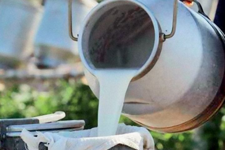 В Рыбно-Слободском районе объёмы молока стали ниже