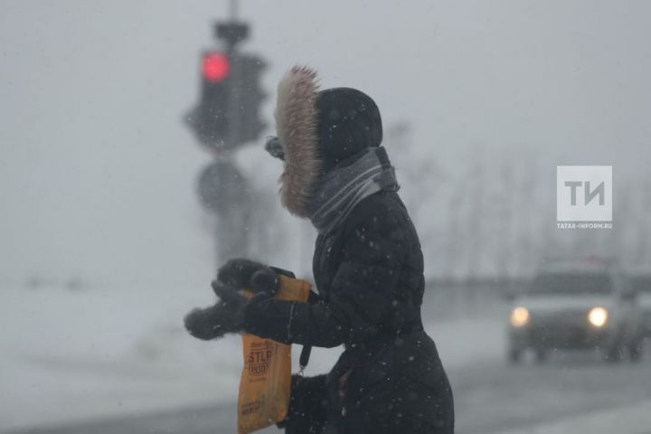 В Татарстане прогнозируют метель и мокрый снег