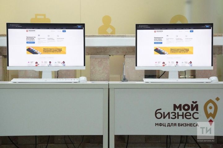 За год татарстанские предприниматели получили более 40 тысяч услуг по нацпроекту