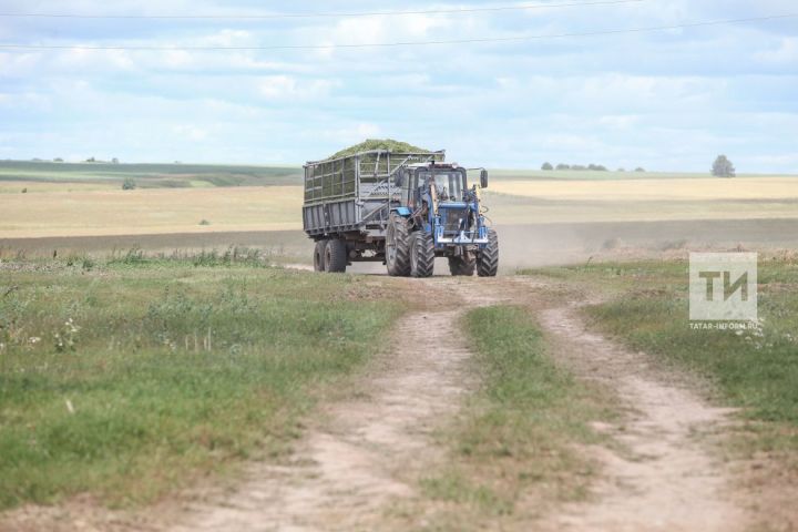 Министерство сельского хозяйства РТ проверили готовность кормоуборочной техники крупных хозяйств