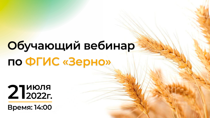Татарстанских аграриев приглашают принять участие в вебинаре по вопросам рынка зерна