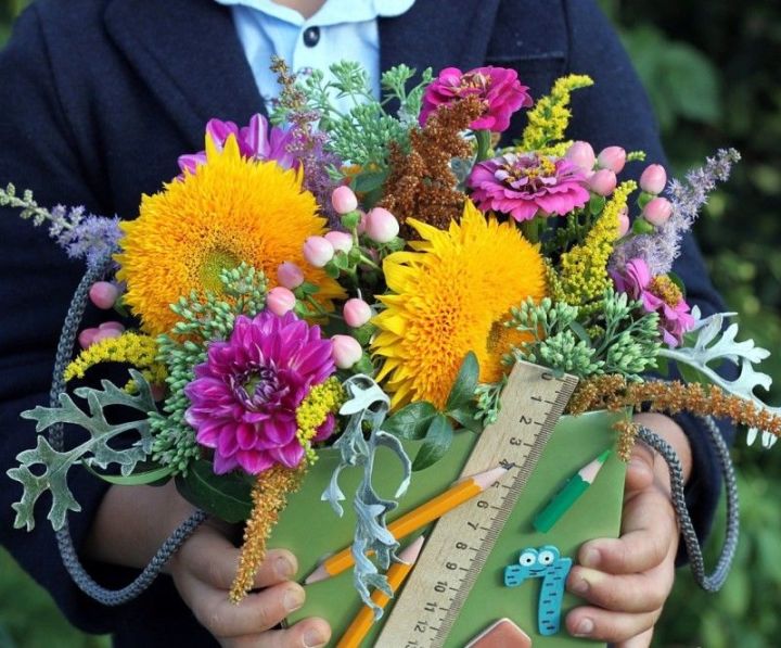 Россиянам рассказали, какие цветы нельзя нести в школу