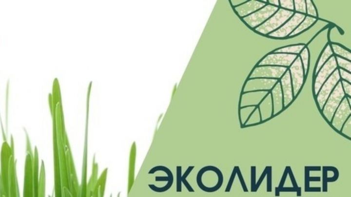 В Татарстане стартовал ежегодный конкурс «ЭКОлидер 2022»