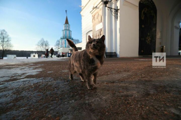 В ноябре татарстанцев ждут сразу два праздника