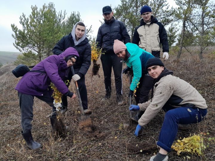 Рыбнослободские студенты посадили новые деревья