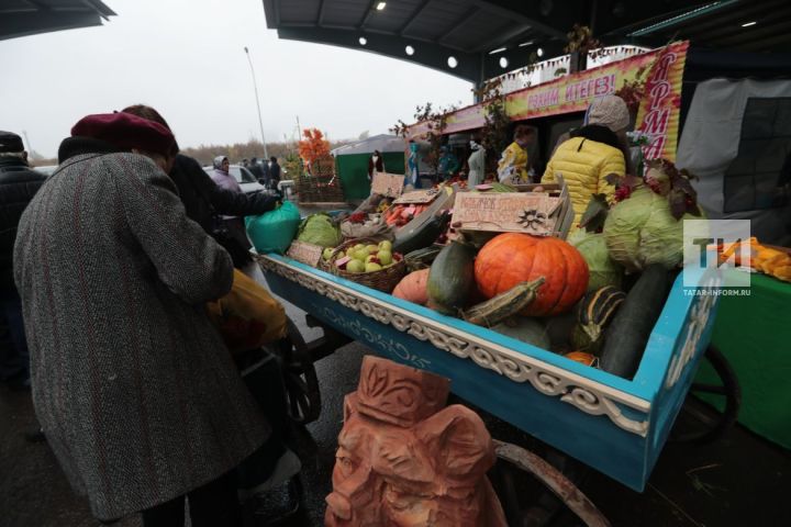 В Татарстане сельхозярмарки отменены из-за сильных морозов