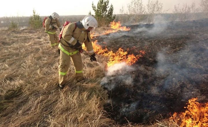 Татарстанцев предупредили «не играть» с огнём в лесу