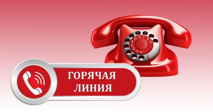 В Татарстане сменился номер горячей линии Социального фонда