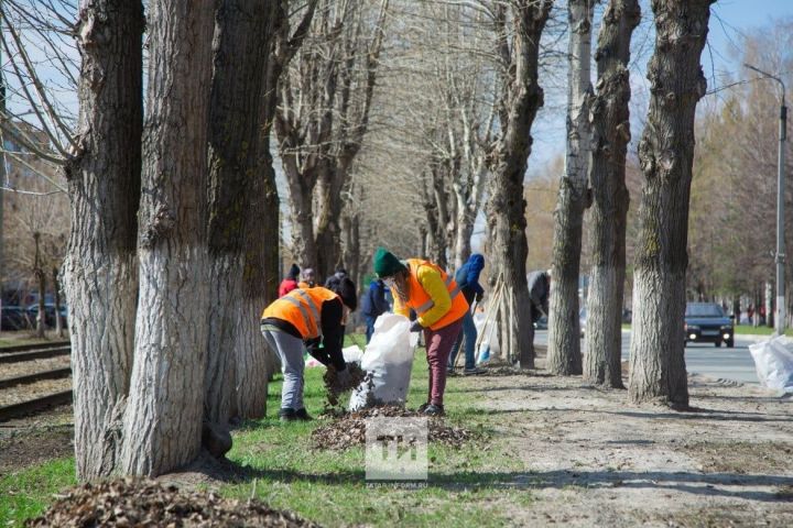 В Татарстане прошел завершающий брифинг по экологии