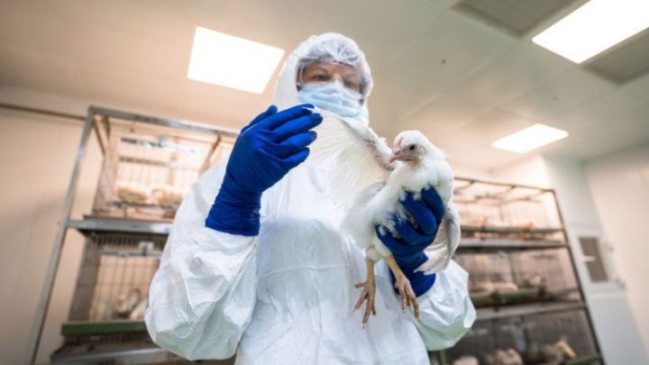 По всей стране остается напряженной ситуация по высокопатогенному гриппу птиц