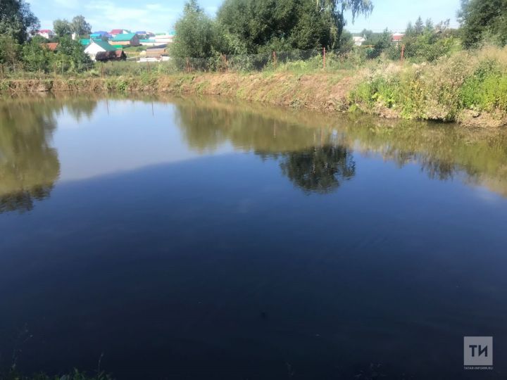 В Татарстане нашли озеро с целебными свойствами