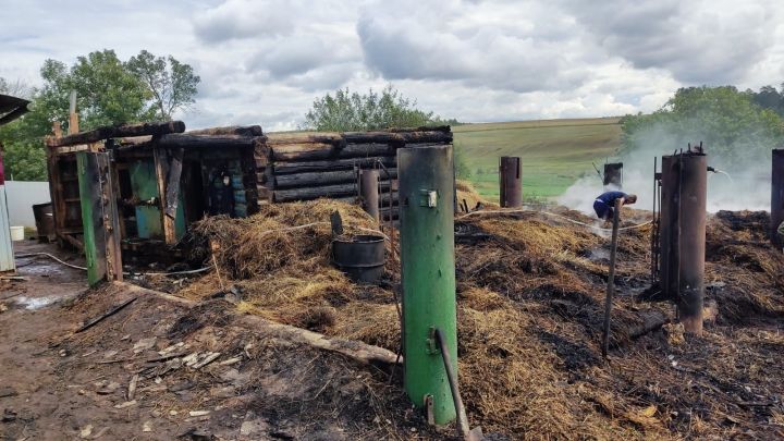 В Рыбно-Слободском районе в одном из частных подворий произошёл пожар