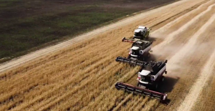 Татарстанские аграрии собрали первый миллион тонн зерна