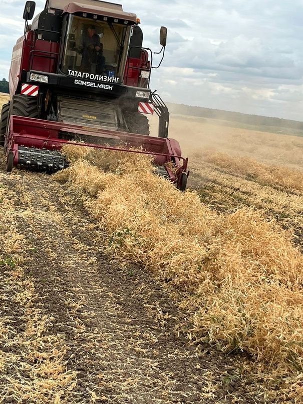 В Татарстане завершается уборка урожая