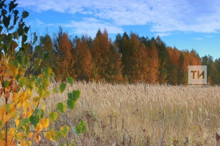 Синоптики дали новый прогноз на конец осени