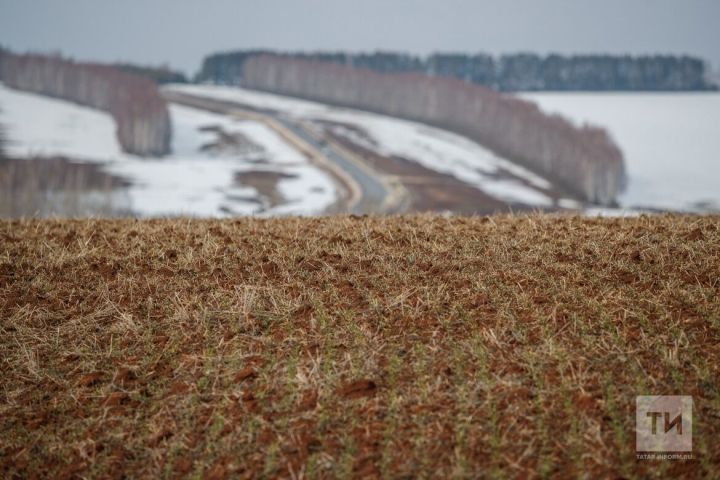 В Татарстане 20 тыс га сельхозземель вернули в оборот