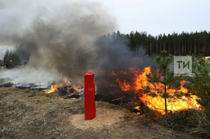 В Татарстане будет введен особый противопожарный режим