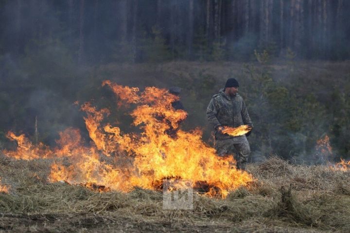 Рыбнослободцев призвали соблюдать технику пожарной безопасности во время уборки территорий