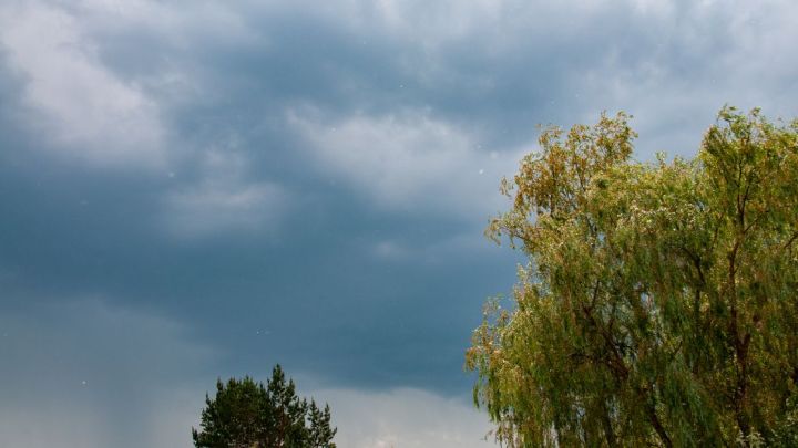 В среду жителей Рыбно-Слободского района ждет ветреная и пасмурная погода