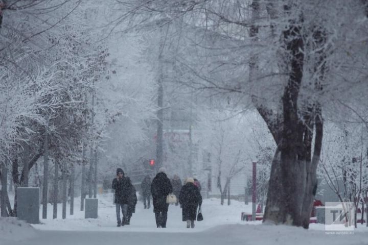 Гидрометцентр РТ объяснил, почему зима в Татарстане стала теплой