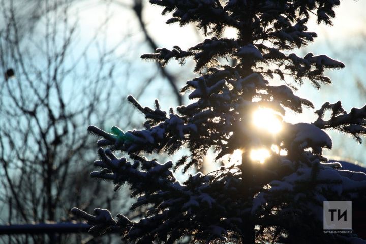 Чем опасна аномально теплая зима для здоровья