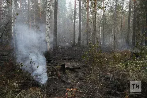 Штормовое предупреждение о пожарной опасности в Татарстане