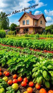 Какие строения нельзя возводить на даче: советы юриста