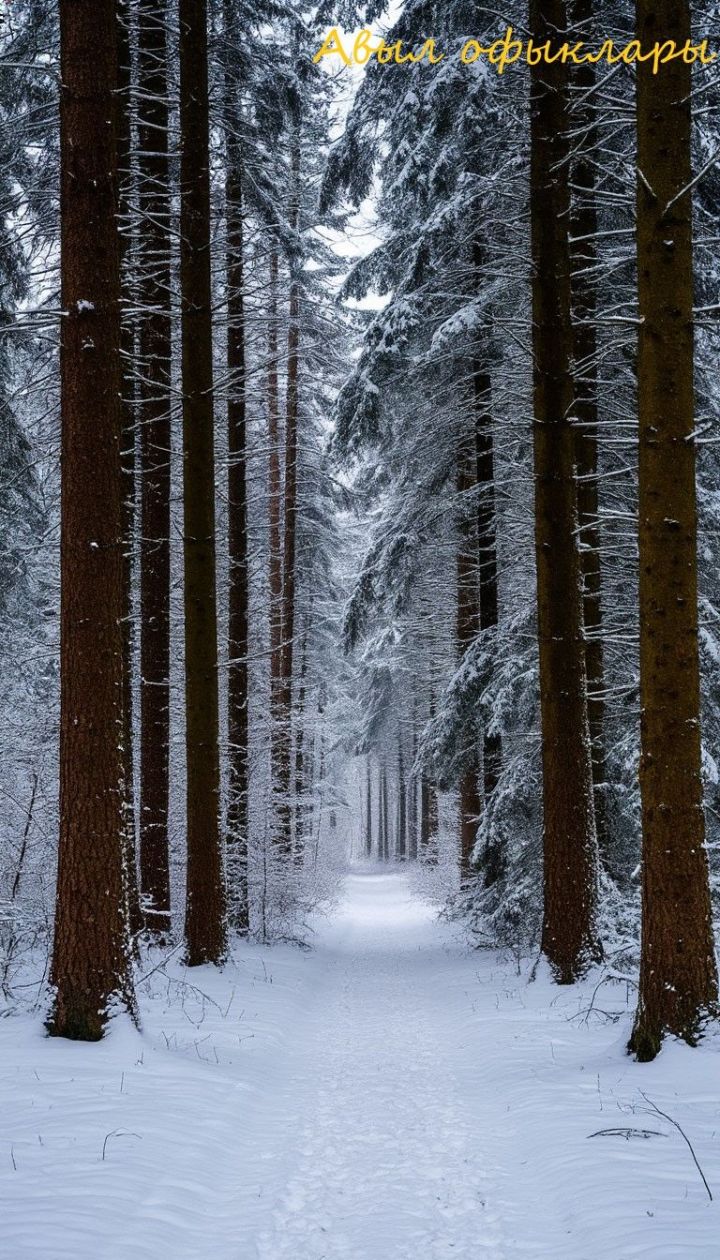 Поставьте чашку молока для Деда Мороза: приметы на 17 декабря 2025 года