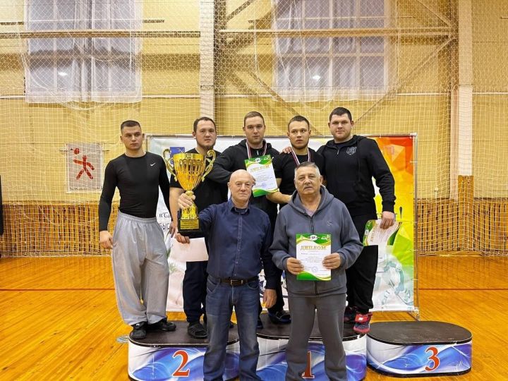 Кубок главы района: борцы из 11 поселений сразились за приз