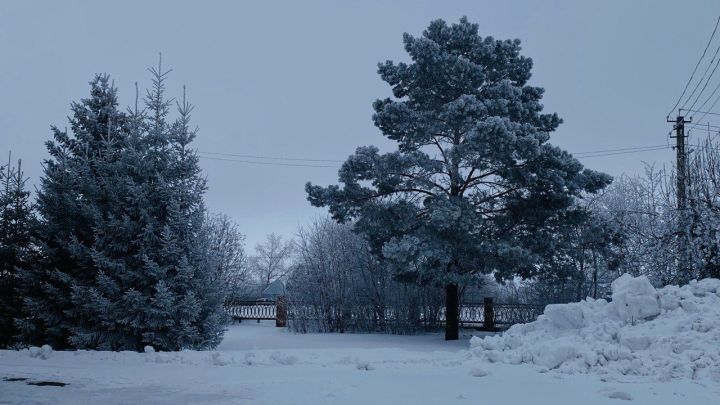 Гороскоп на 12 февраля 2025 года