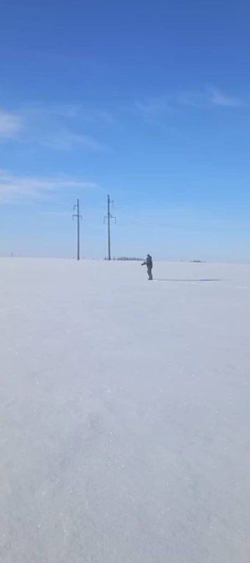 В республике стартовал зимний учёт животных