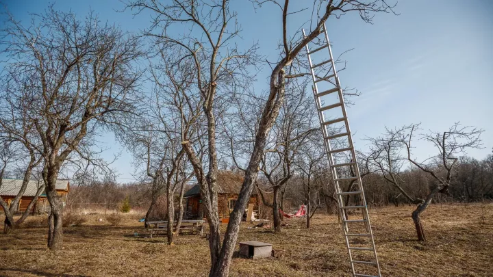 Новые штрафы за заброшенные дачные участки с 1 марта 2025 года