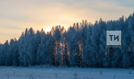 В Рыбно-Слободском районе ожидается слабая метель и сильный ветер