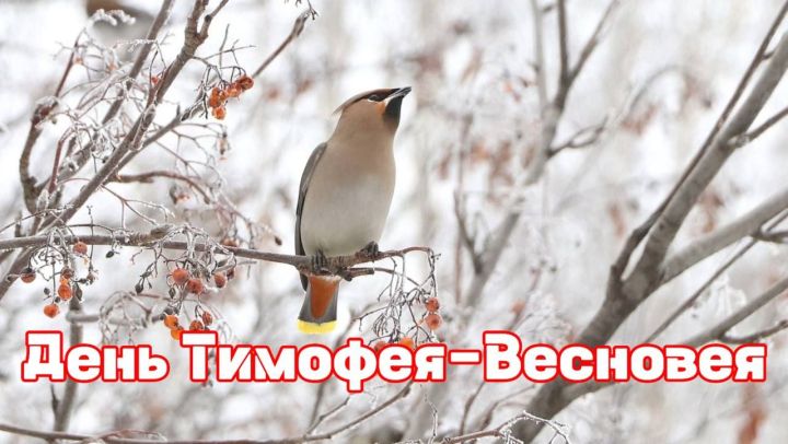 Приметы, праздники и события на 6 марта