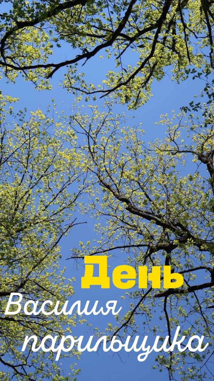 25 апреля – что нельзя и что можно делать в день Василия-парильщика
